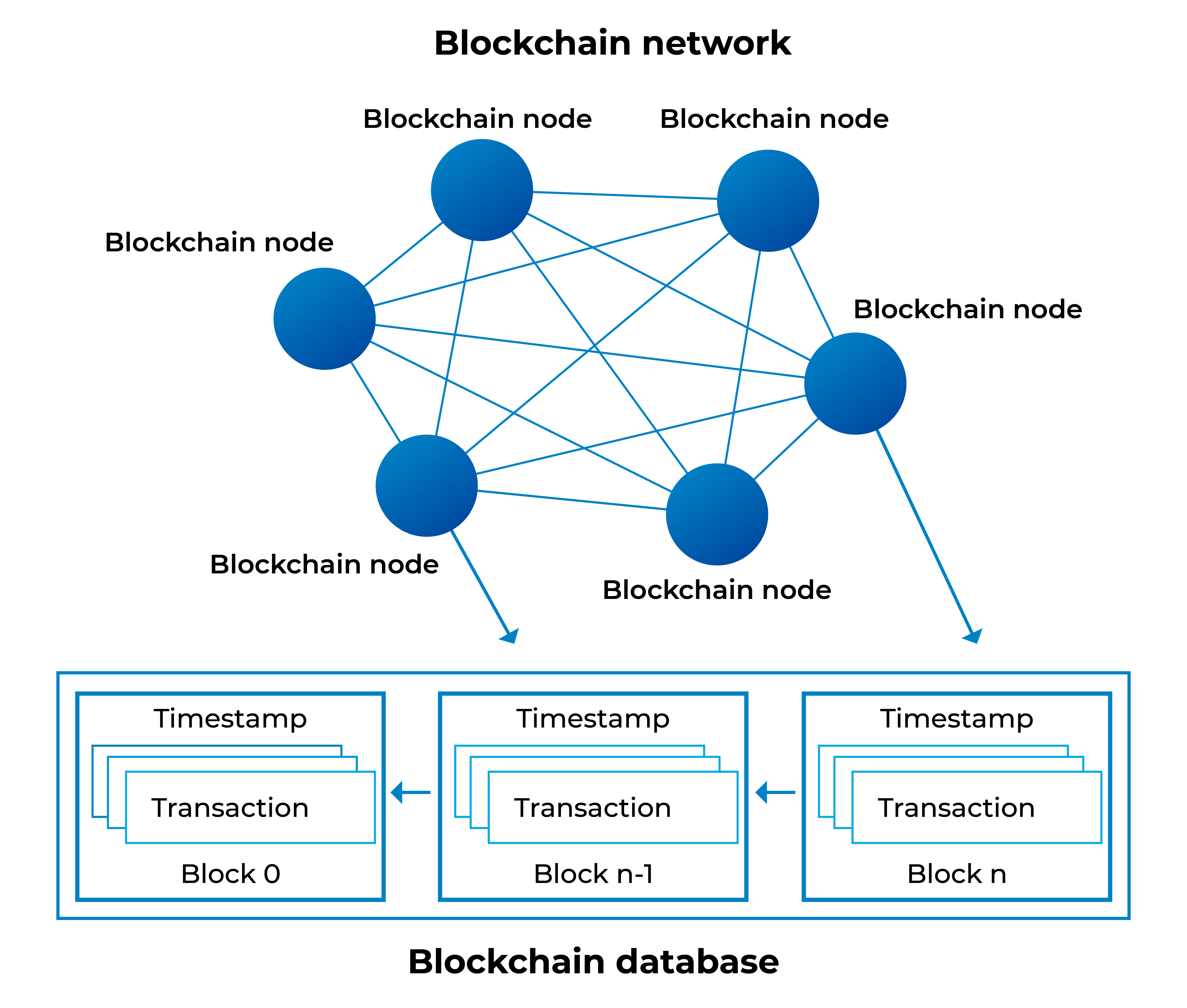 types of nodes in blockchain